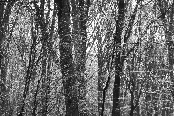 speulderbos 4-2023 7188